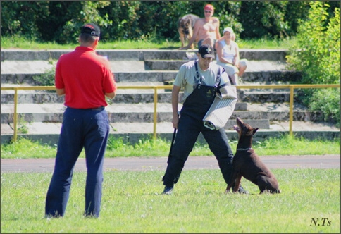 Sasha - Estonia championship 2007  in IPO 3